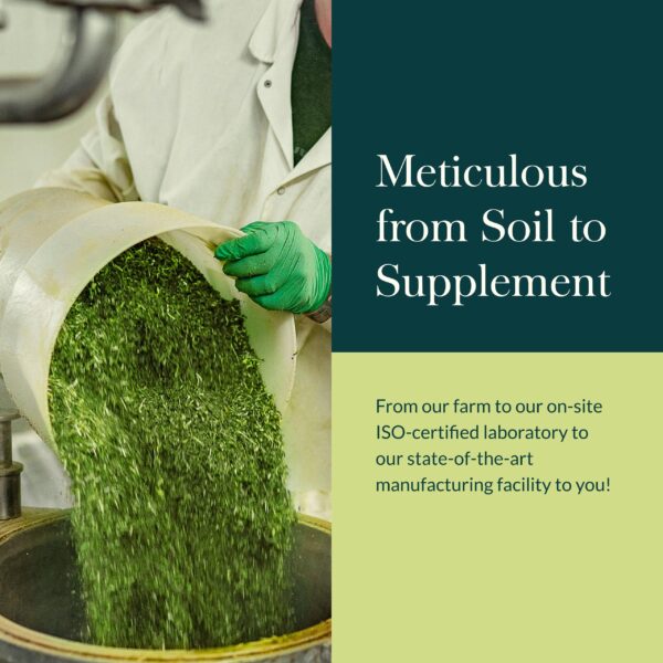 Suplemento vegano Gaia Herbs Microbiome Cleanse con ingredientes orgánicos