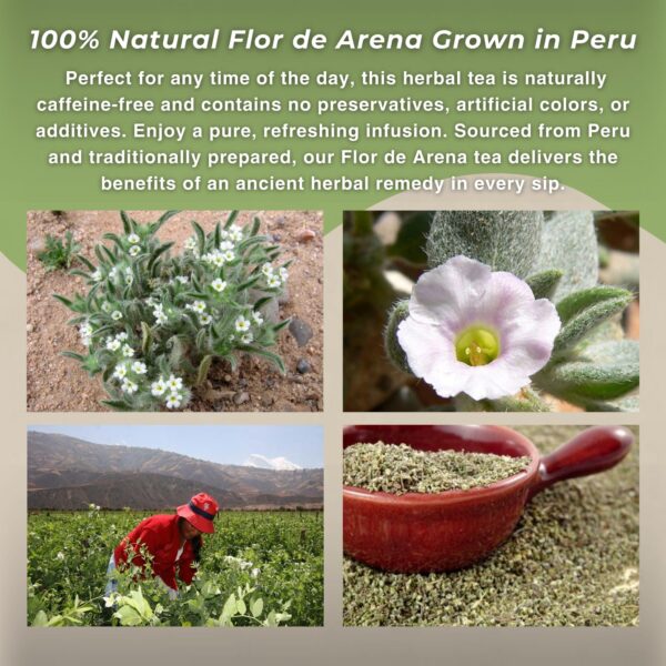 Bolsas preparación té flor de arena HANAN