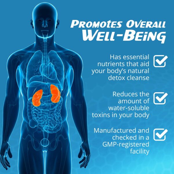 ingredientes naturales para soporte renal en RenActive de RaDoTech