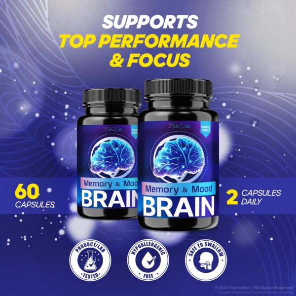 Caja externa Memory Mood Brain packaging Caja externa Memory Mood Brain packaging