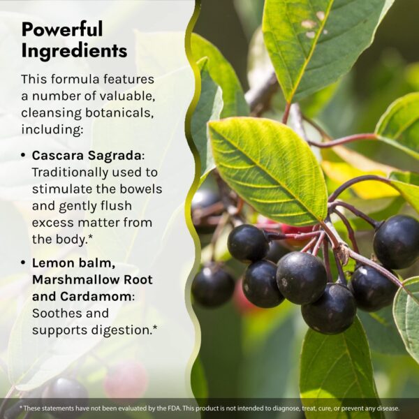 Irwin Naturals suplemento natural para digestión sana Irwin Naturals suplemento natural para digestión sana