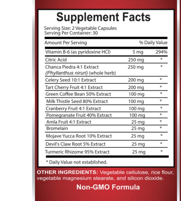 URIC Acid Cleanse cápsulas para eliminación saludable de ácido úrico