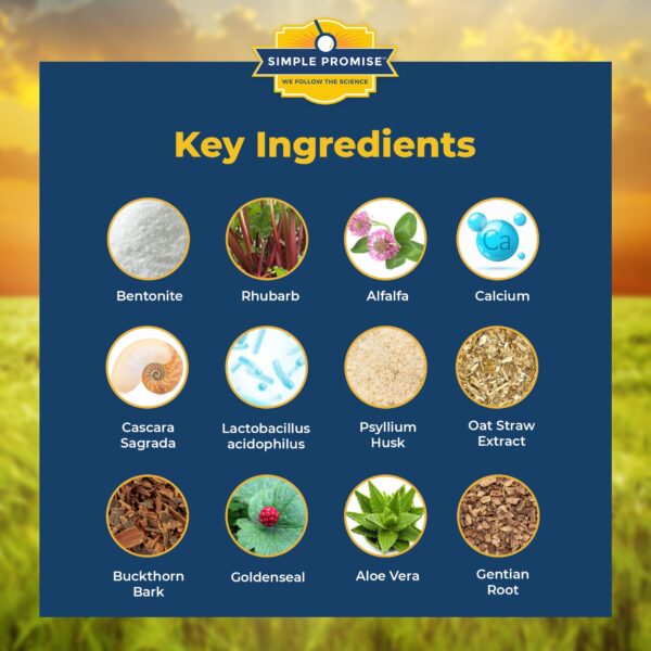 Levitox cápsulas para mejorar función hepática y metabolismo