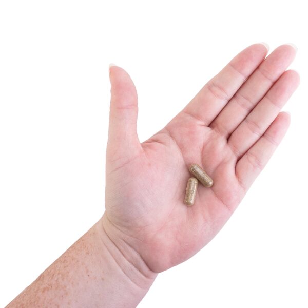 Kroeger Hierbas para desintoxicación en cápsulas vegetales