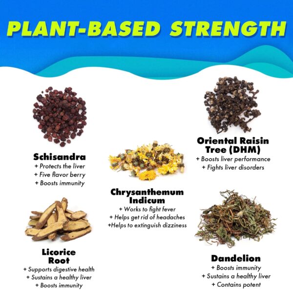 Detalle ingredientes bebida The Plug para hígado