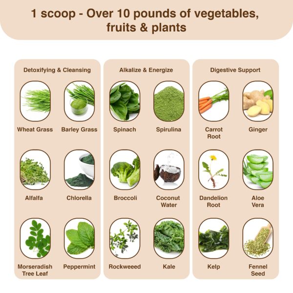 envase lateral Detox Organics superalimento vegano para detox