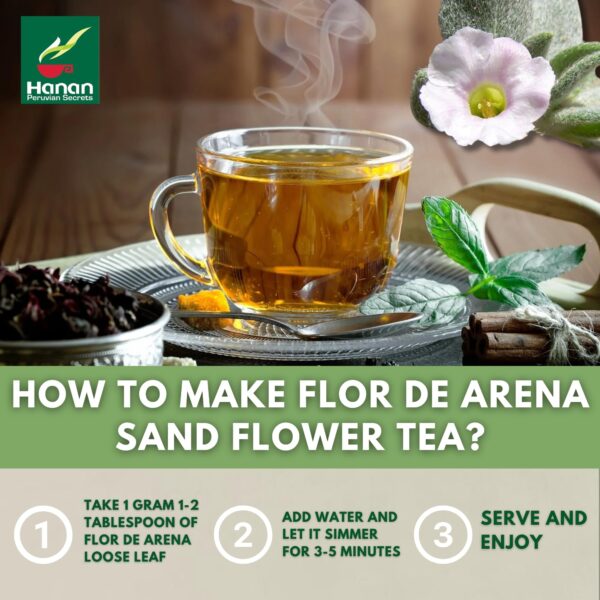 Vista detalle hojas flor de arena HANAN