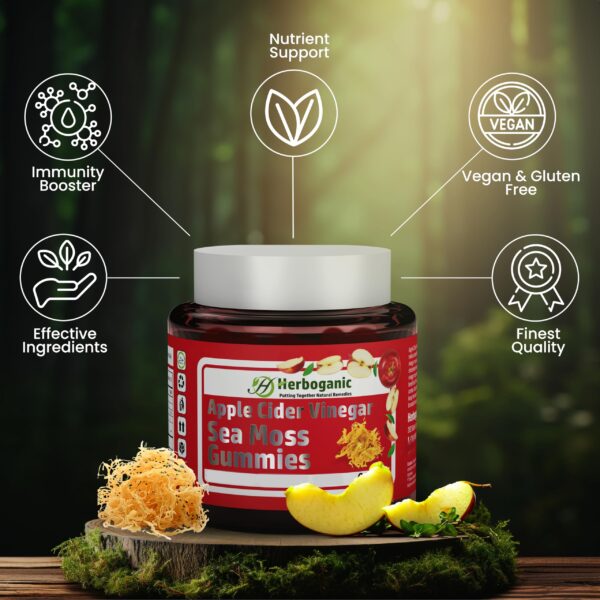 Suplemento gomitas vinagre de sidra HERBOGANIC 60 piezas