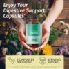 Cápsulas sin GMO y sin gelatina para salud digestiva