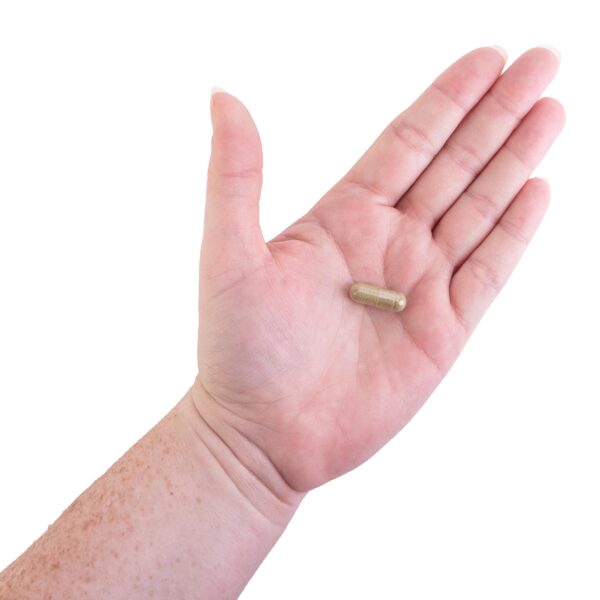 Cápsulas vegetales Kroeger Herb Fórmula Candida #2 Cápsulas vegetales Kroeger Herb Fórmula Candida #2