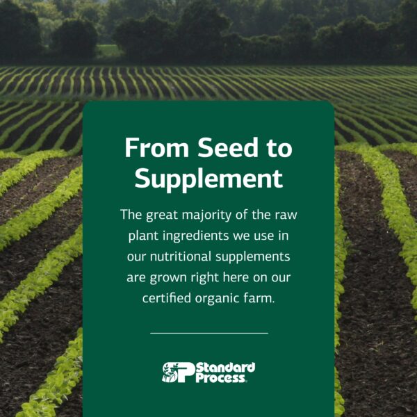 Tabla nutricional Olprima EPA|DHA