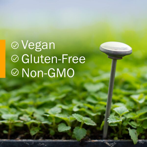 Extracto líquido cilantro Herb Pharm para veganossensibilidad