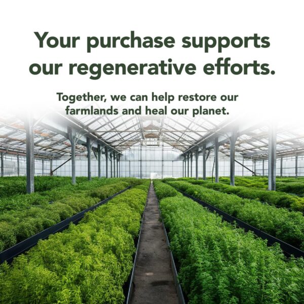 Herbal BEE suplemento natural para estreñimiento y gases