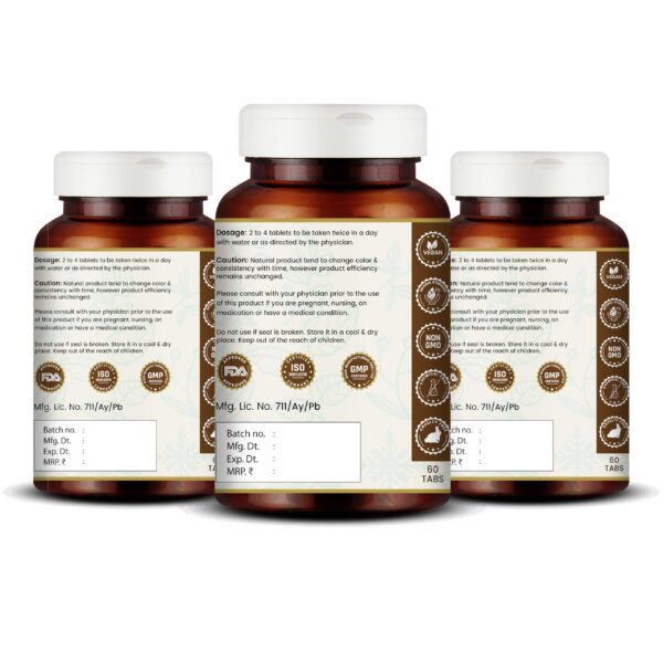 Tabletas naturales Punarnavadi Guggulu para riñón e hígado