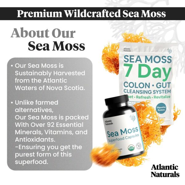 Desintoxicación colon e intestino con cápsulas Atlantic Naturals