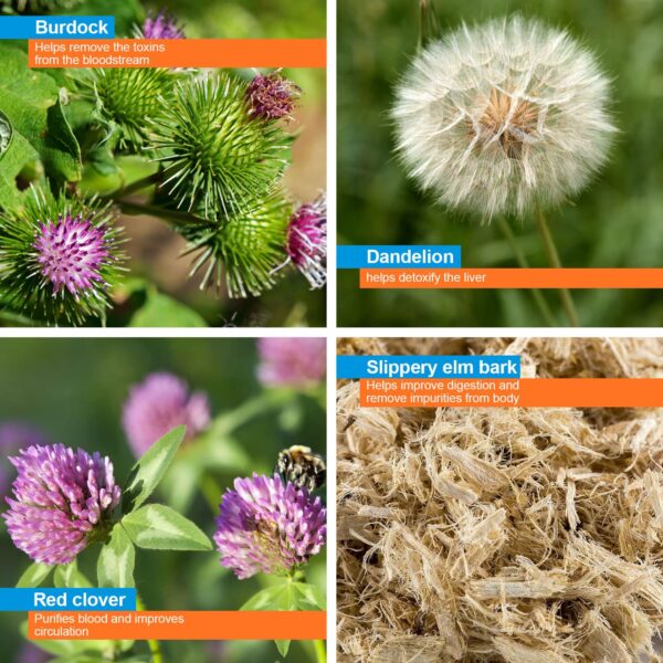 Sabor tropical Wellgenix puriclean detox premium