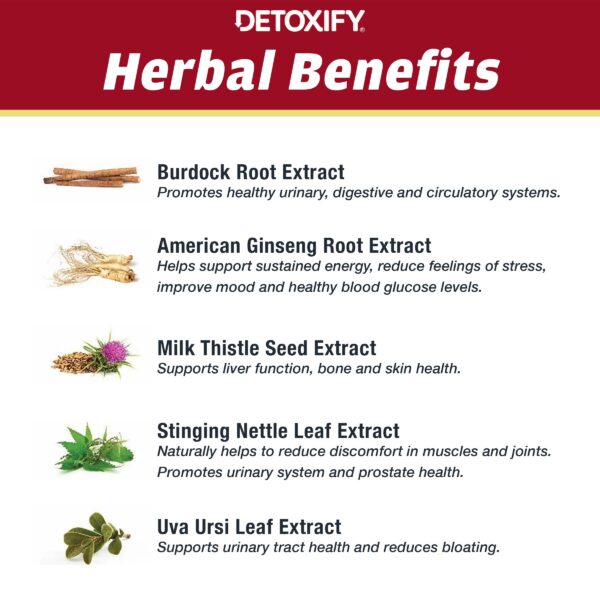 Vista superior botella Detoxify Xxtra Clean sabor fruta tropical