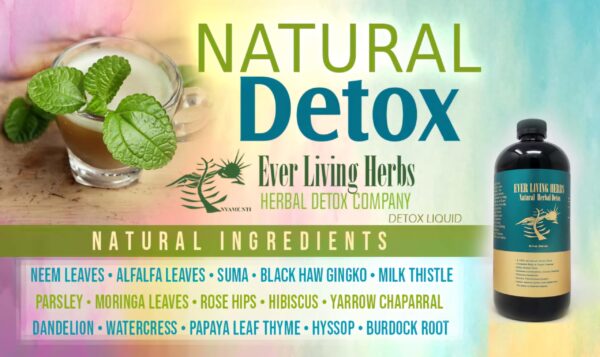 Ever Living Herbs Detox ayuda a digestión y bienestar general