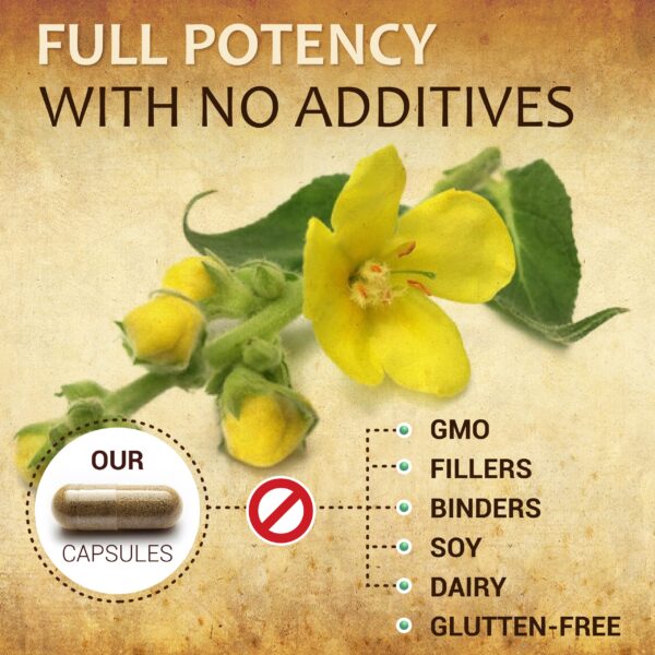 Suplemento Herbalicious para bienestar digestivo y pulmonar