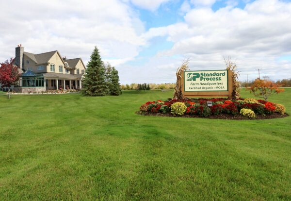 Suplemento para desintoxicación vegano sin gluten