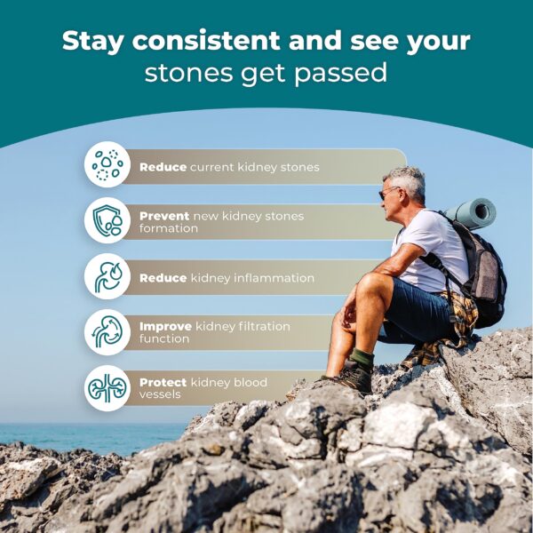 Ingredientes naturales en fórmula para salud renal PUREHEALTH