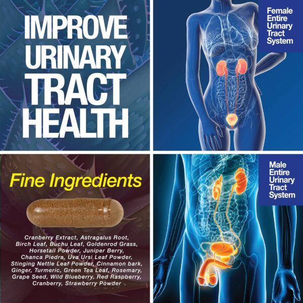 Suplemento 15 días para digestión y actividad física saludable