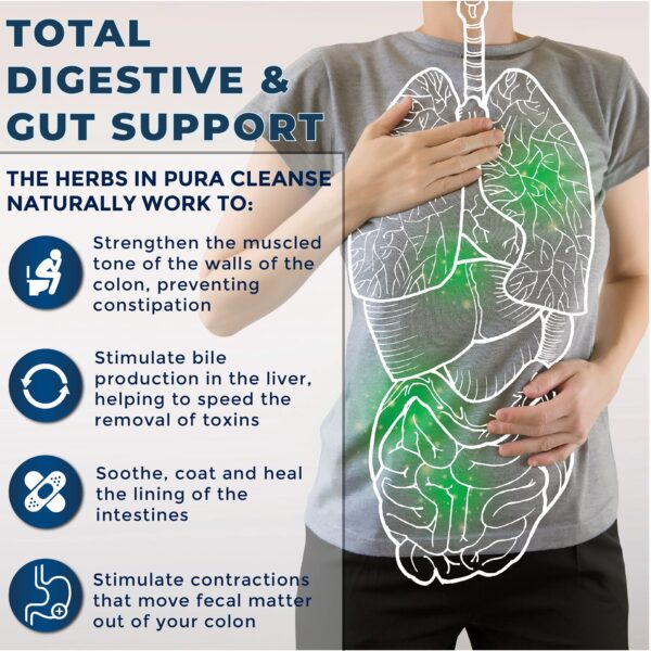 Pura Cleanse II ingredientes naturales en vasija