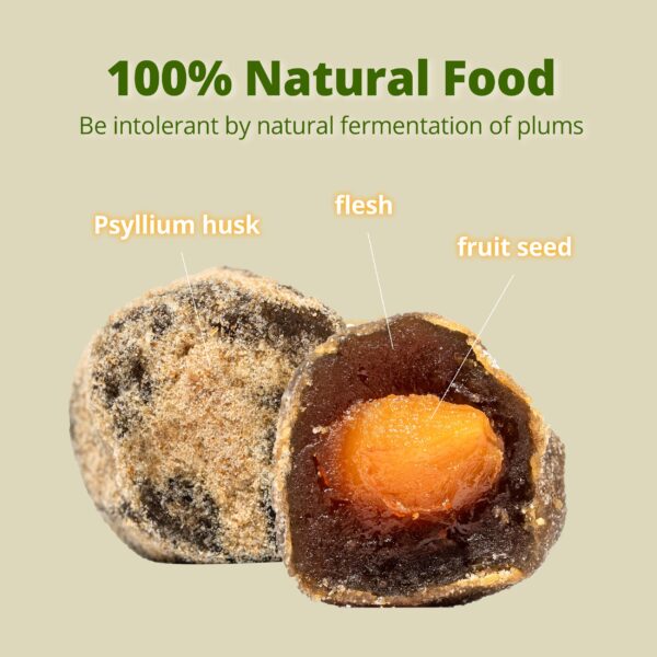 Fermentación natural de 2800 horas Bium ciruela snack vegano