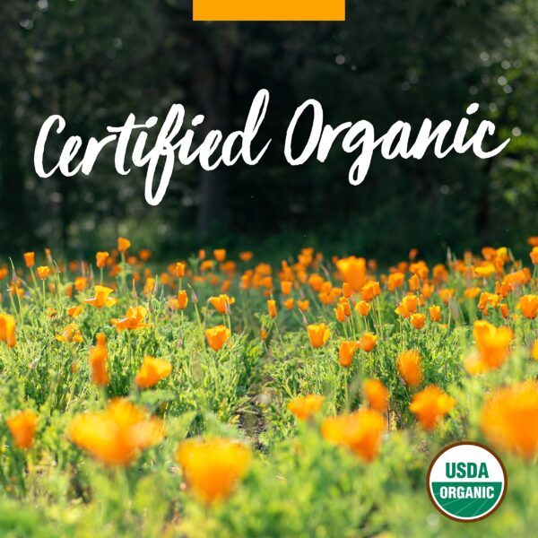 Extracto líquido desintoxicante certificado orgánico y sin aditivos