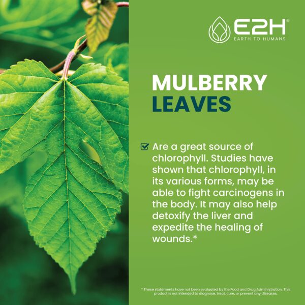 Botellas E2H clorofila líquida y apoyo hígado 4 onzas total