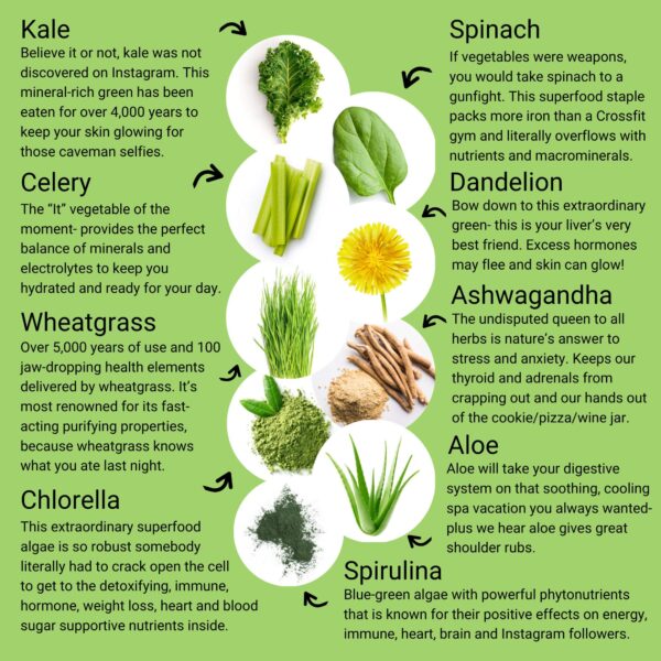 Polvo verde superalimento para hombres y mujeres vegano y sin gluten