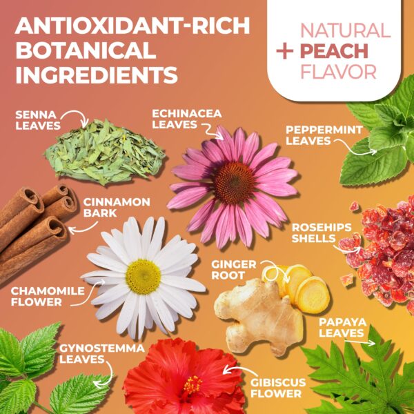 Bolsas de té detox y té energía Total Tea