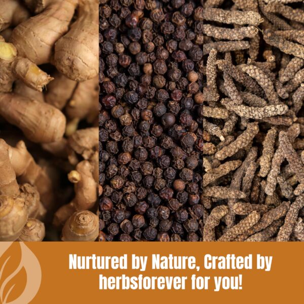 Polvo herbal para equilibrio Vata HerbsForever Trikatu Churna