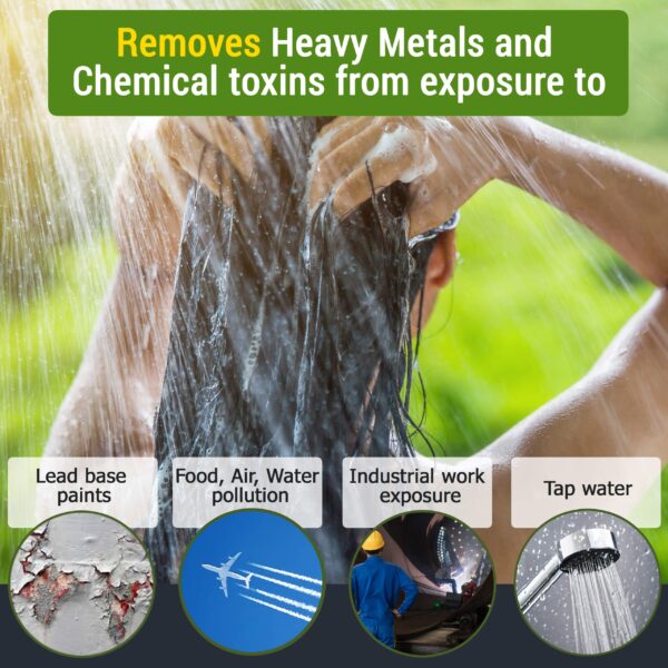 Suplemento natural para mejorar inmunidad y balancear flora intestinal