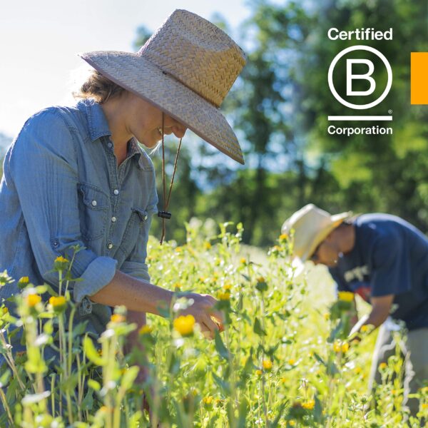 Herb Pharm extracto certificado orgánico cilantro entre hierbas