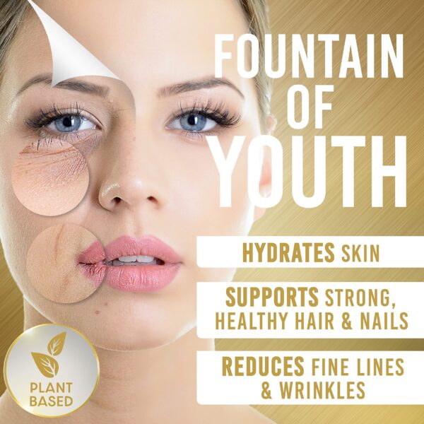 Conjunto de envases MSM