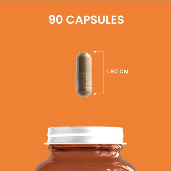 Paquete cápsulas HERBALY para salud hepática