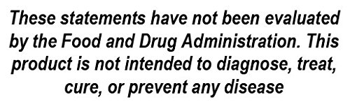 Taza de té herbal orgánico para limpieza y bienestar digestivo