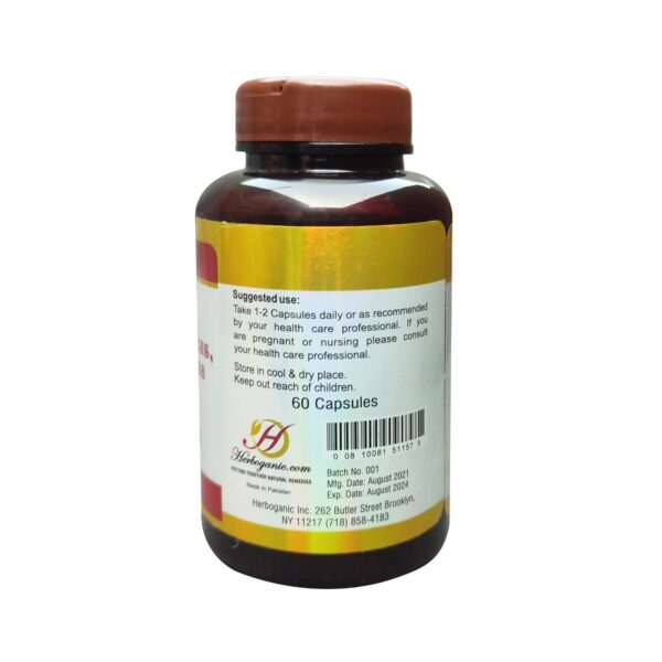 Detalle de cápsulas detox HERBOGANIC 500mg