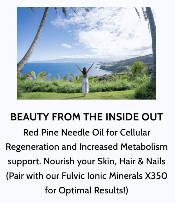 519wVS3t6xL.jpg Detalle cápsula de aceite de aguja de pino rojo natural