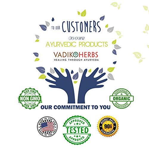 Vadik Herbs Kidney Aid fortalecedor renal y rejuvenecedor 3 pack