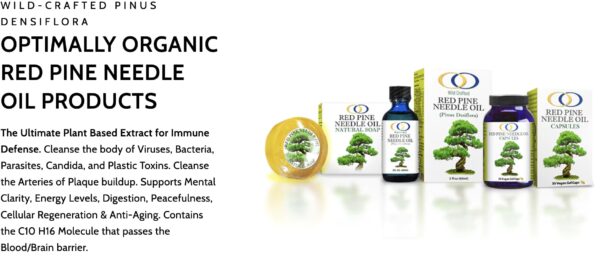 61-S5Vx0RtL.jpg Envase frontal cápsulas de pino rojo soporte inmunológico