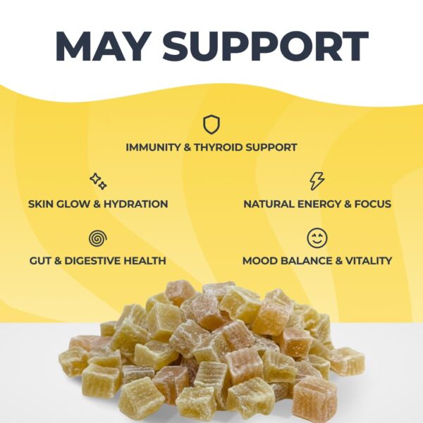 Envase de 6 piezas SEA MOSS LYFE