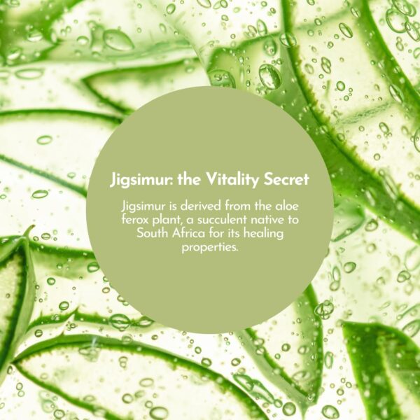 615UCvMFy7L.jpg Jigsimur etiqueta lateral y descripción