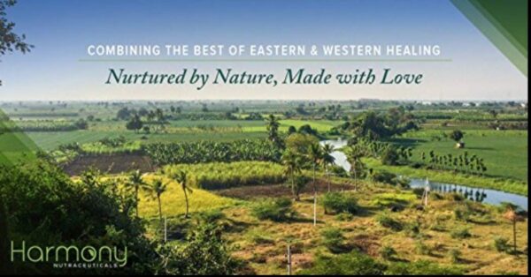 Caja de Trifala Guggul ayurvédico para rejuvenecimiento