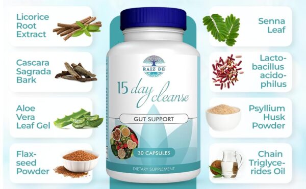 Raiz DE tabla de información