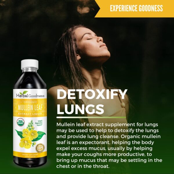 Detalle extracto de hoja de gordolobo Herbal Goodness 12oz