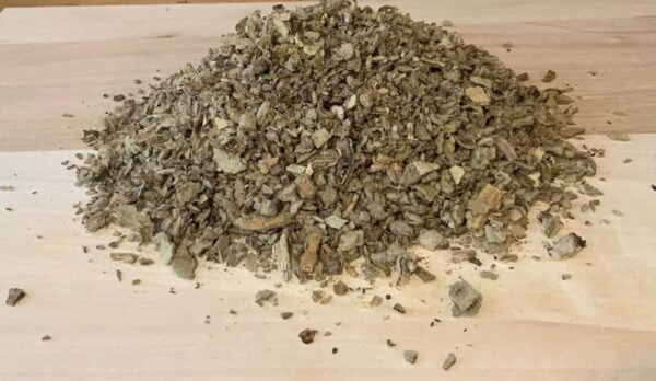 Detalle de té de hoja de gordolobo en infusión natural