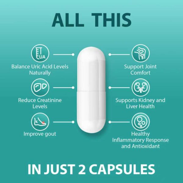 Detalle de ingredientes: cereza agria y apio