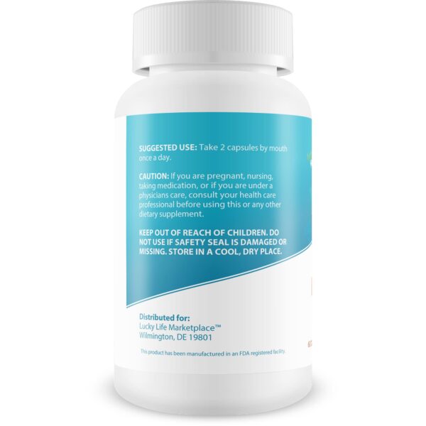 Version 1.0.0 Botella No Bloat Pro suplemento digestivo con hinojo y jengibre